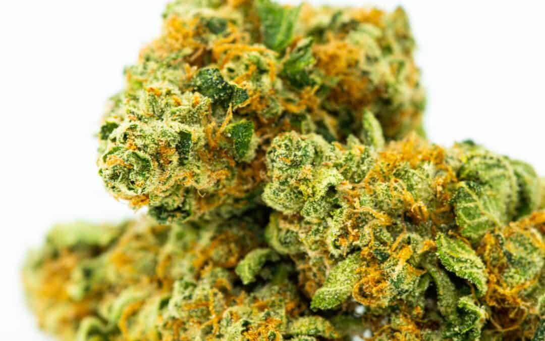 Does THCa Percentage Matter?