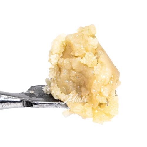 Mac 1 THCa Live Rosin by Mints Brand