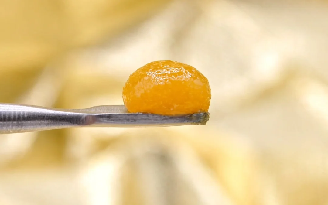 THCa Live Resin: What You Need To Know