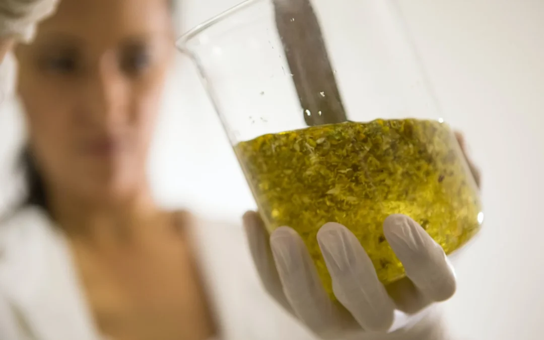 yellow liquid in clear glass jar
