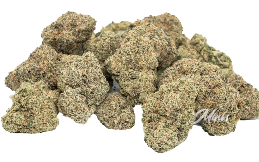 Lemon Cherry Gelato Strain: Genetics, Effects, and Cultural Impact