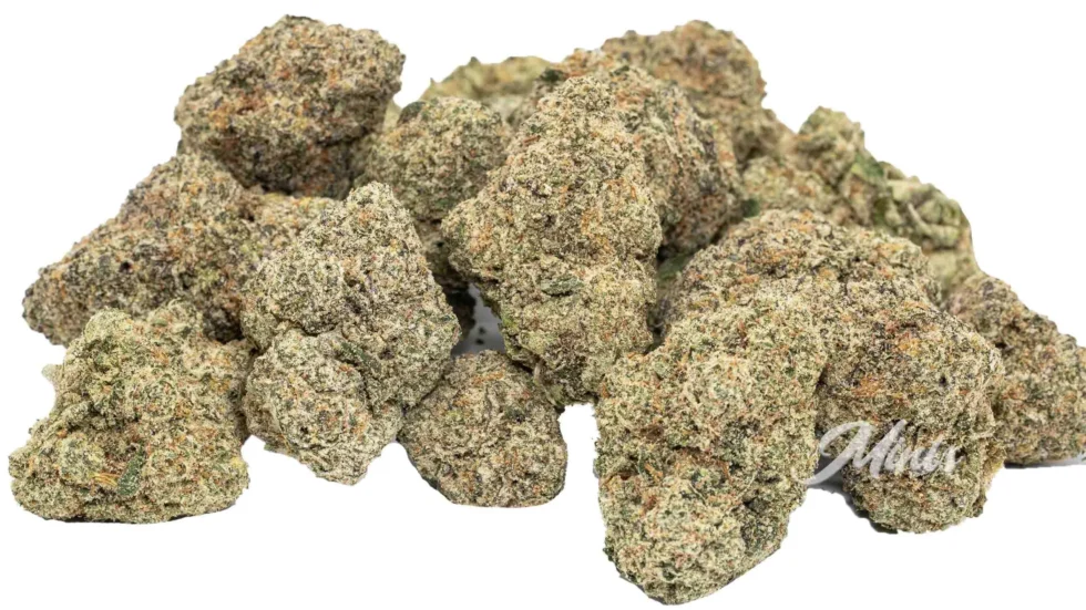 Lemon Cherry Gelato (LCG) THCa Flower
