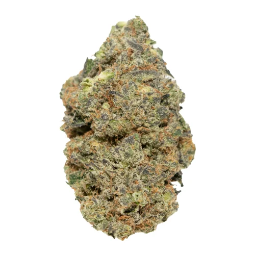 Cereal Milk High THCA Hemp Flower
