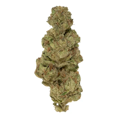 Gelato Cake High THCa Hemp Flower