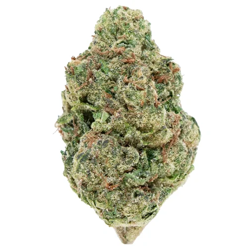 Bubblegum Gelato High Thca Hemp Flower