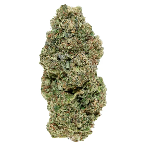Gaslato High THCa Hemp Flower