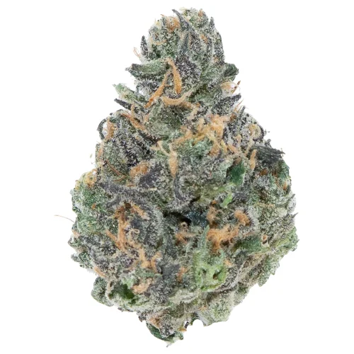cherry haze high thca hemp flower
