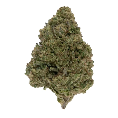 Orange Sherb High THCa Flower