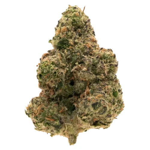 raspberry skywalker high thca flower
