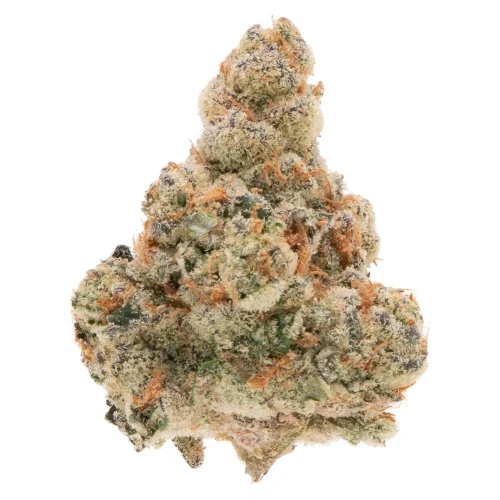 Coup De Gras high thca hemp